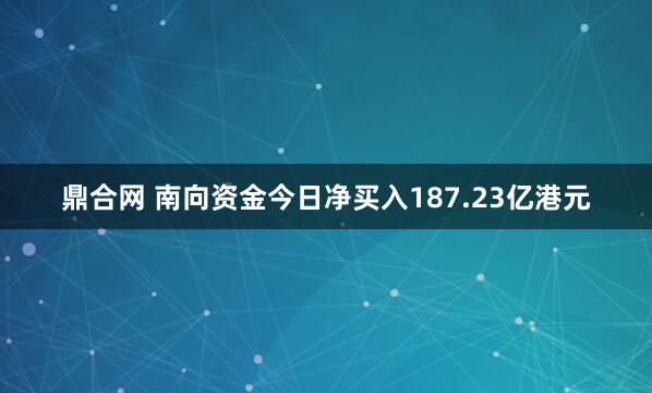 鼎合网 南向资金今日净买入187.23亿港元